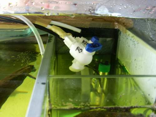 resize 8 dopływ.JPG