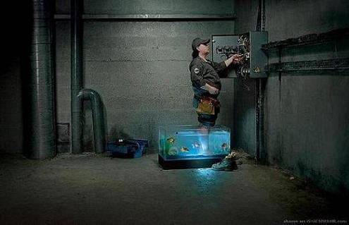 prąd a akwarium.JPG