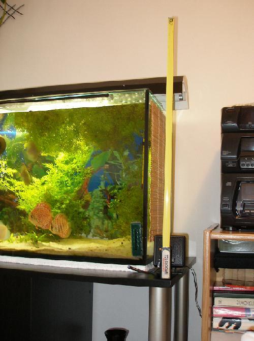 różnica w wysokości baniaczków.JPG