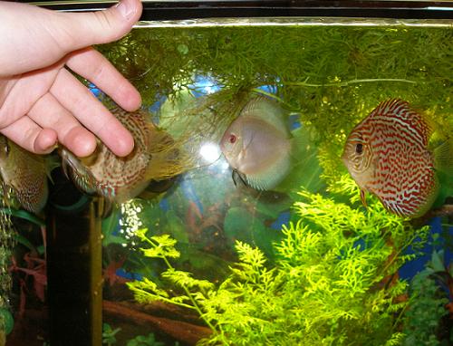 pora na karmienie.JPG