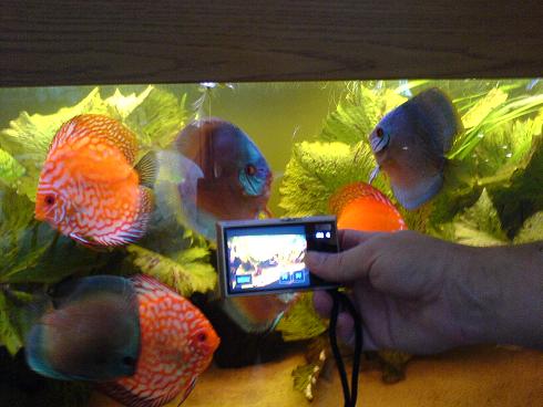 pozowanie do zdjęć.JPG