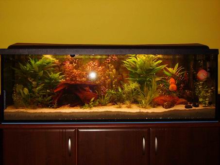 Resize of IMGP0957.JPG