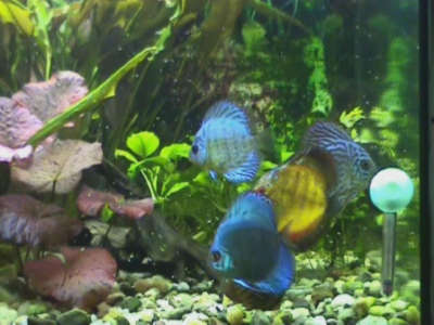 Podczas posiłku4.jpg