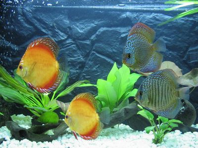 tn_20.03 009 (33).jpg