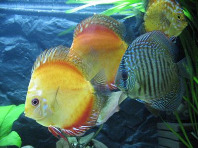 tn_20.03 009 (58).jpg