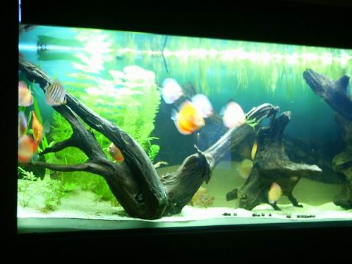 Resize of zdjęcie 024.jpg