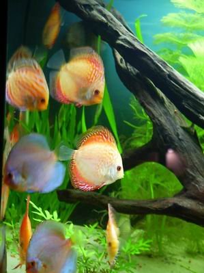 Resize of Rotation of zdjęcie 038.jpg