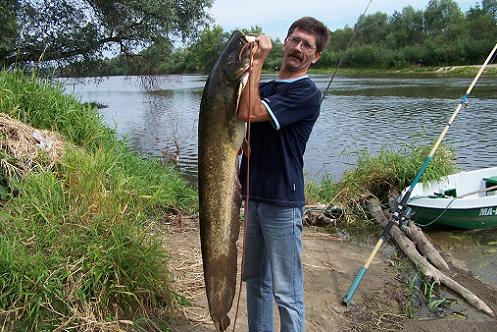 sum i mierzwice 009.jpg