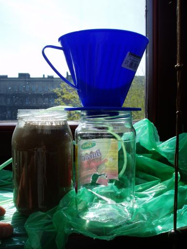 plukanie artemii.JPG