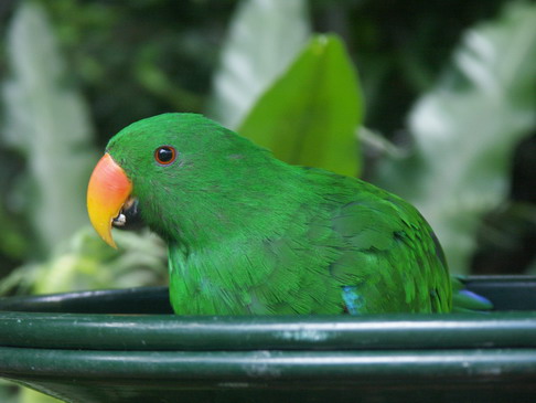 australiazoo 052_resize.jpg