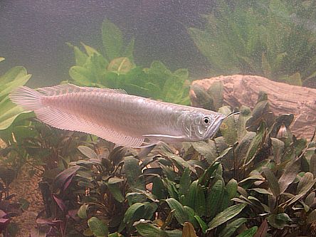 co by tu zjeść.jpg