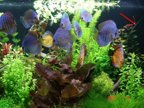 Obraz037-04c1_Bildgröße ändern.jpg