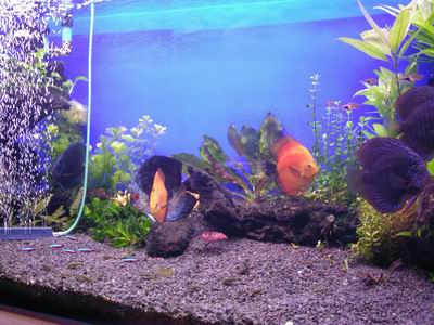 2005-05-18 002 1.jpg