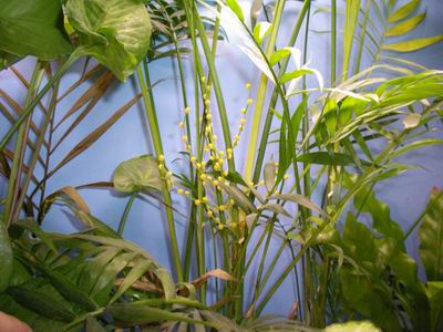 2005-05-20 002 1.jpg