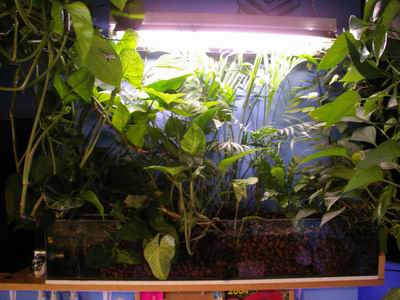 2005-05-20 006 1.jpg