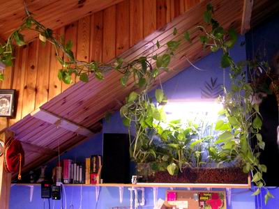 2005-05-20 008 1.jpg