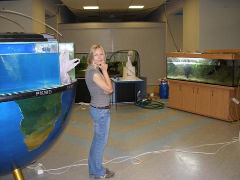 widać kto się obija.JPG