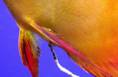 2005-05-26 024 a.jpg