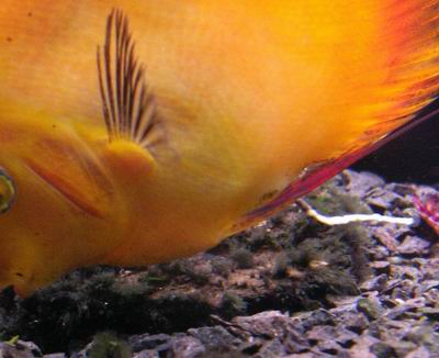 2005-05-26 019 a.jpg