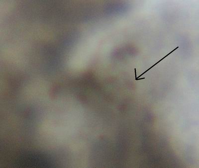 2005-05-26 033 a.jpg