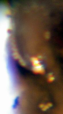 2005-05-26 036 a.jpg