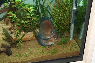 zdjecia nowe rozne 012 zmniejszone 2.jpg