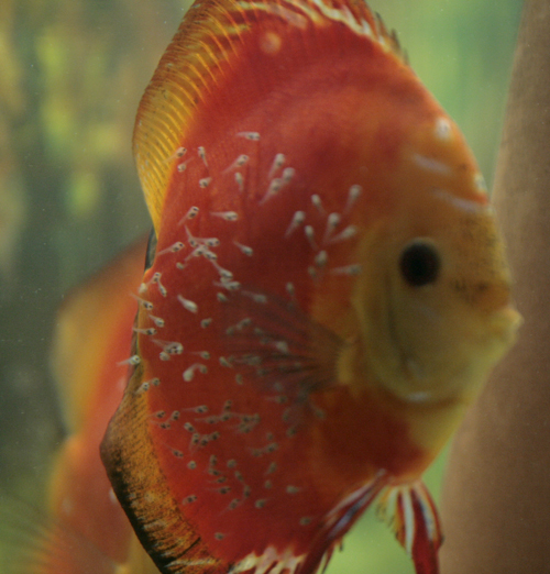 trzeci dzień 4-1.jpg