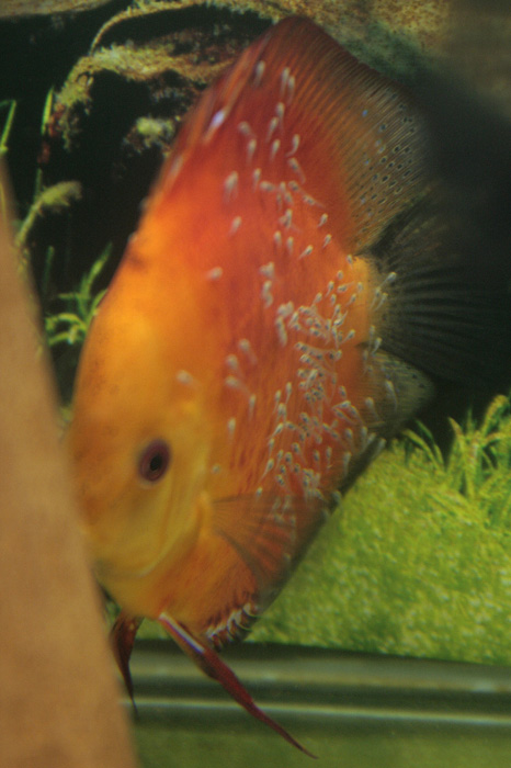 trzeci dzień 3-1.jpg