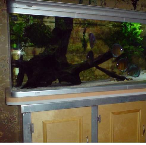 Szawka z zewnątrz.JPG