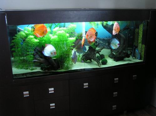 Resize of Obraz 005.jpg