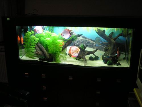 Resize of Obraz 003.jpg