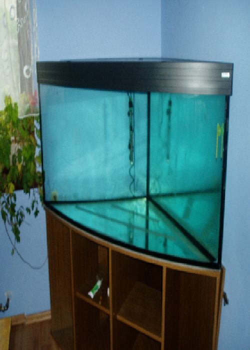 akwarium forum pkmd.jpg