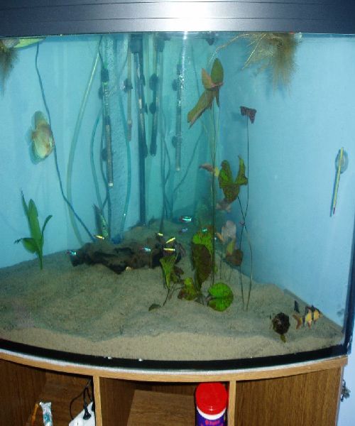 oaza spokoju pkmd.jpg