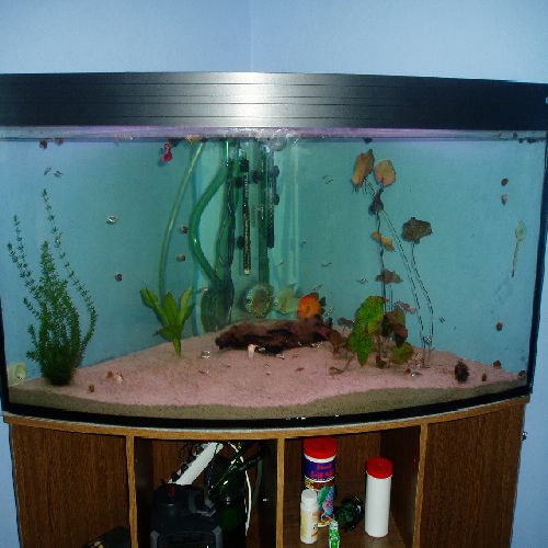 akwarium na pkmd.JPG