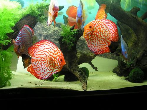 Resize of Obraz 040.jpg