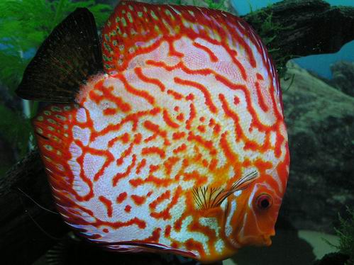 Resize of Obraz 028.jpg