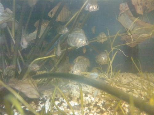 Zdjęcie0451 (Custom).jpg