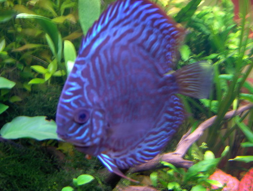 Obraz 005_resize_resize.jpg