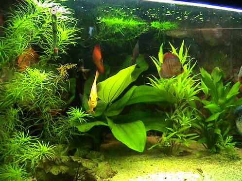 akwa po restarcie 016.jpg