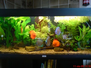 DSC00134 [MiniFoto] (1).jpg