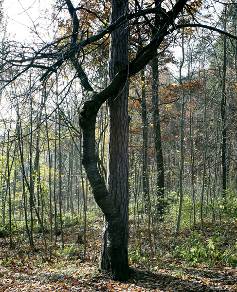 Polanica 194 kopia.jpg